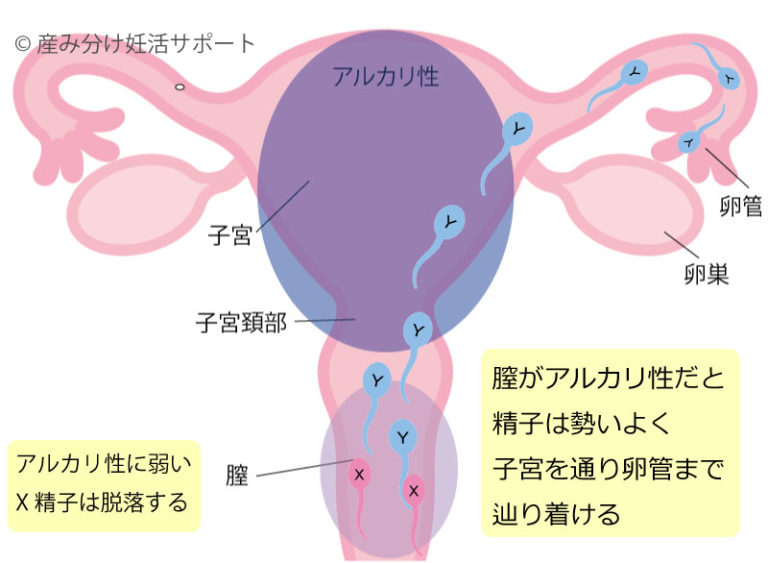 �O���[���[���[�@��Q