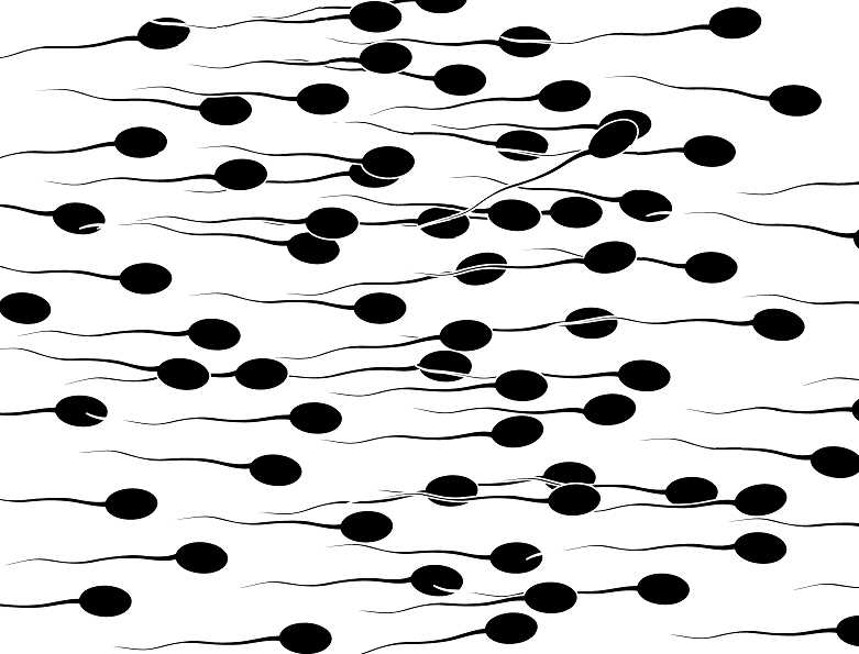 �O���[���[���[