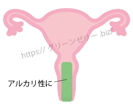 �O���[���[���[�@������