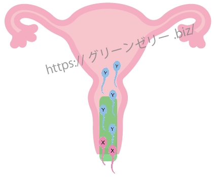 �O���[���[���[�g����