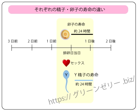 �O���[���[���[�g����