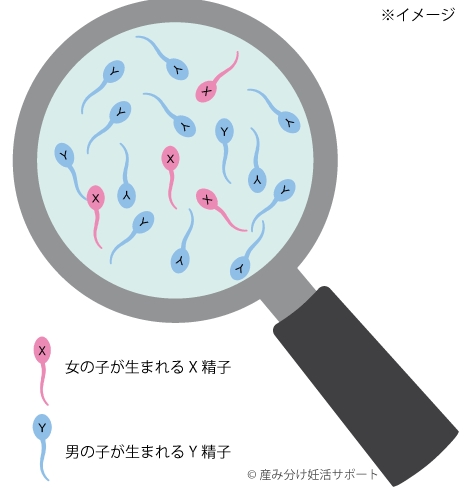 �O���[���[���[�@������